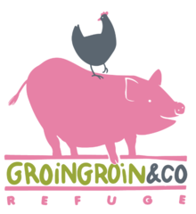 23 58 18 220px refuge groingroin